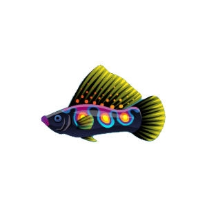 Mustardtip Sailfin Molly